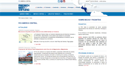 Desktop Screenshot of fesamericacentral.org